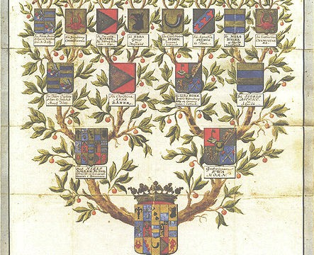 Ilustración histórica de un árbol heráldico